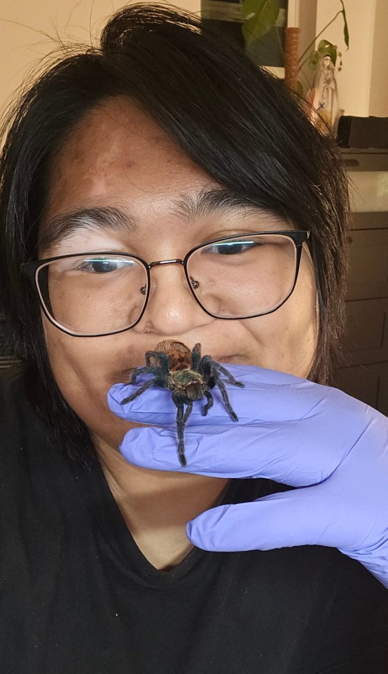 Person in glasses holds a tarantula on their hand, wearing blue gloves.